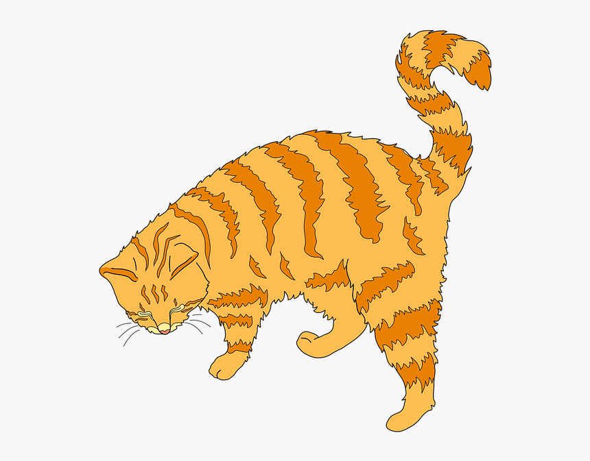 Ginger Cat Clipart, HD Png Download