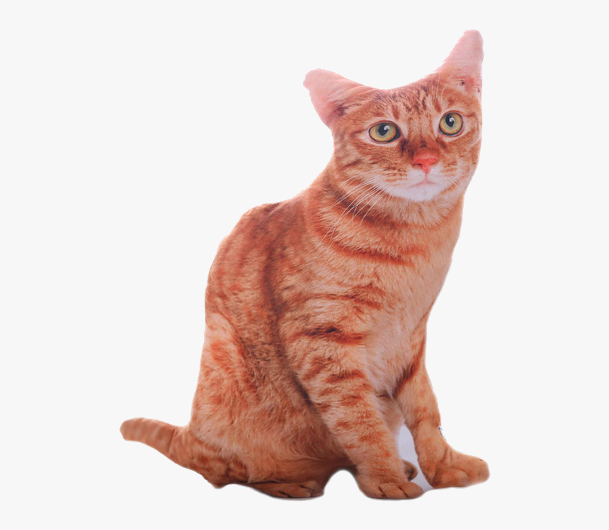 Cat Plush - 3d Cat Pillow, HD Png Download