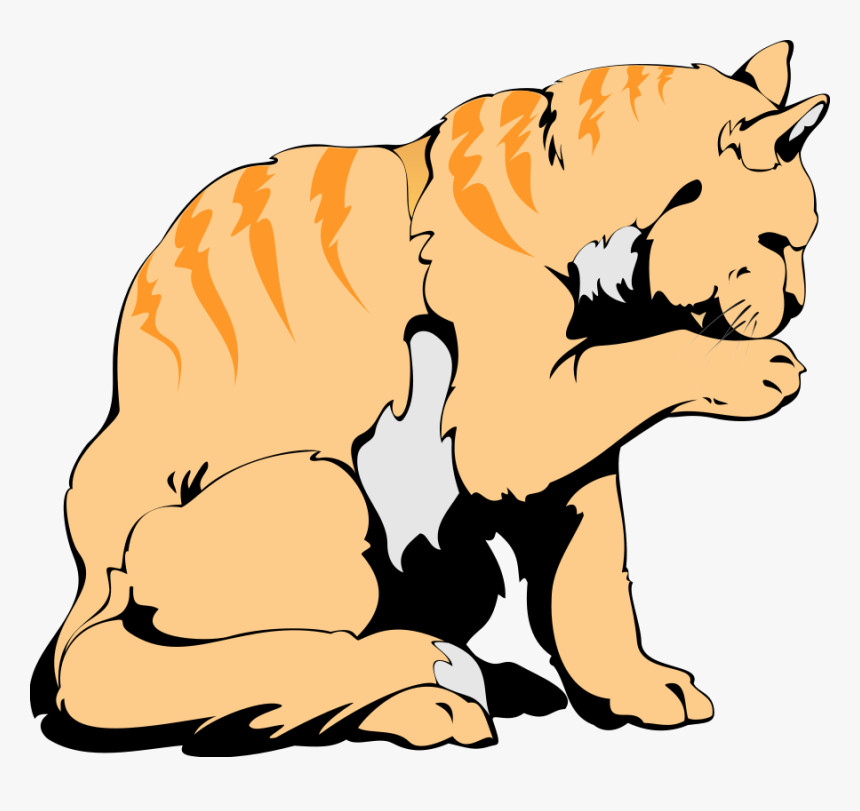 Orange Cat Art Design Svg Clip Arts - Cat, HD Png Download