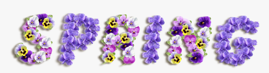 Purple Spring Clipart , Png Download, Transparent Png