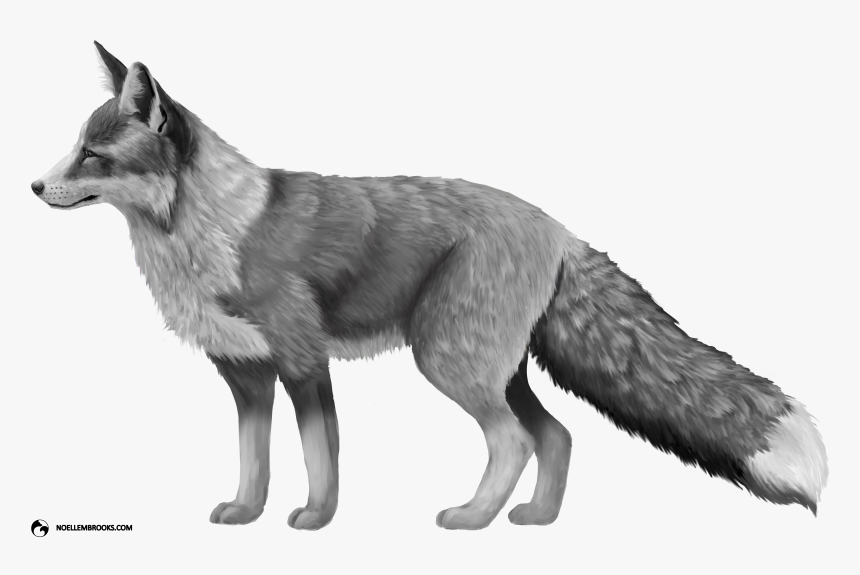 Platinum-colored Red Fox - Red Fox Png, Transparent Png