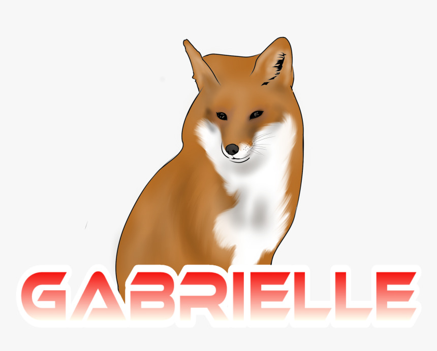 She Started These Videos With Me At The Age Of - Red Fox, HD Png Download