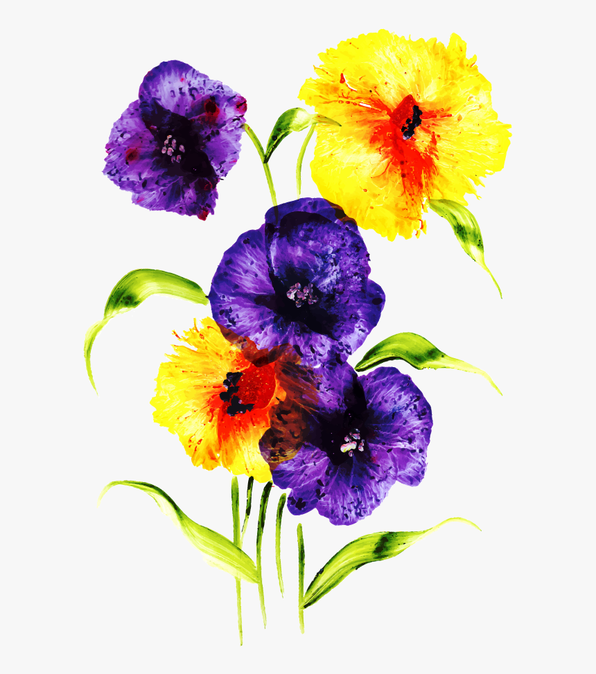 Viola, HD Png Download