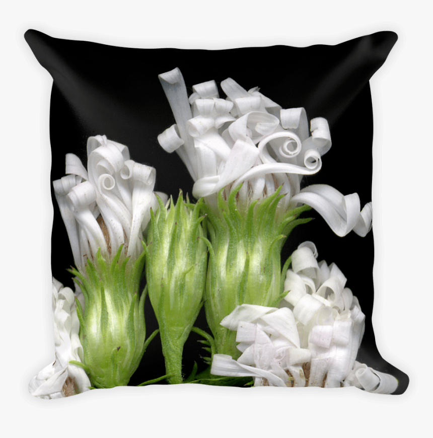 Pillow, HD Png Download