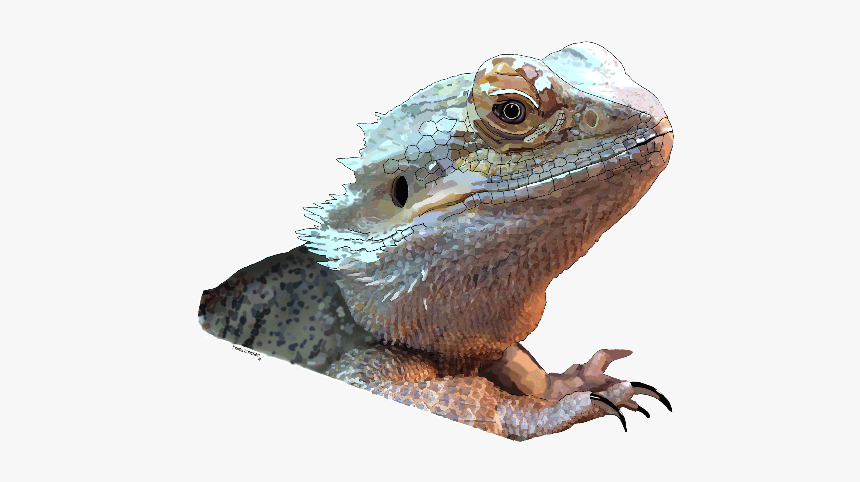 Sagebrush Lizard, HD Png Download