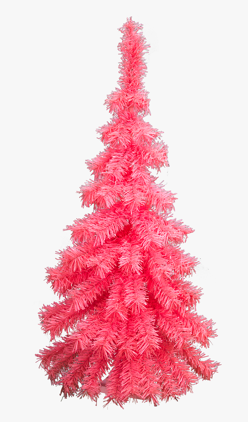 Christmas Tree, HD Png Download