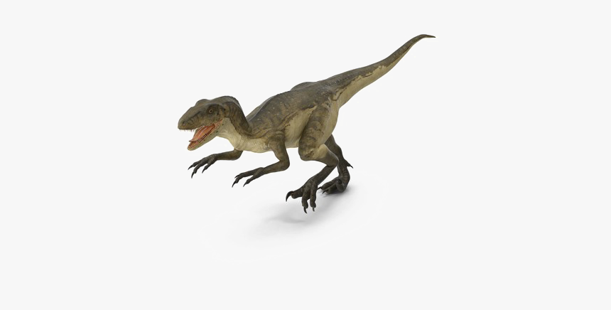 Theropod Transparent Background - Deinonychus Png, Png Download