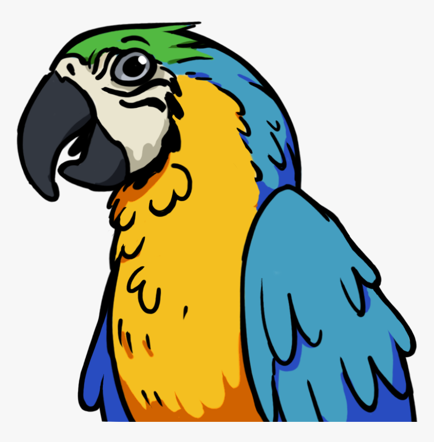 Ludosity Wiki - Macaw, HD Png Download
