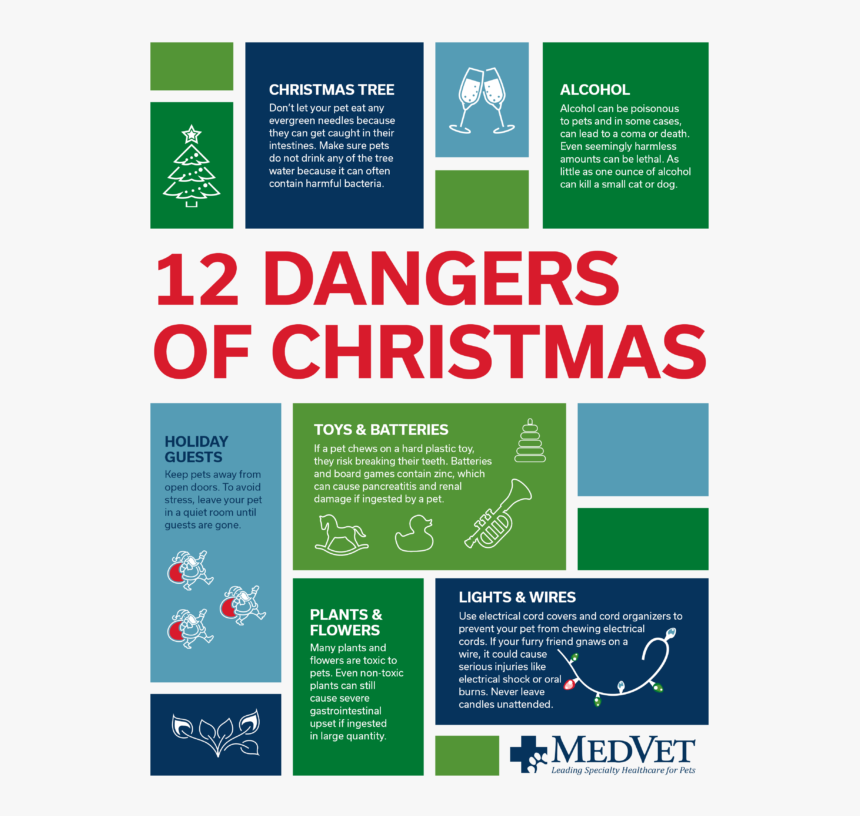 12 Dangers Of Christmas - Peace Officers Memorial Day, HD Png Download