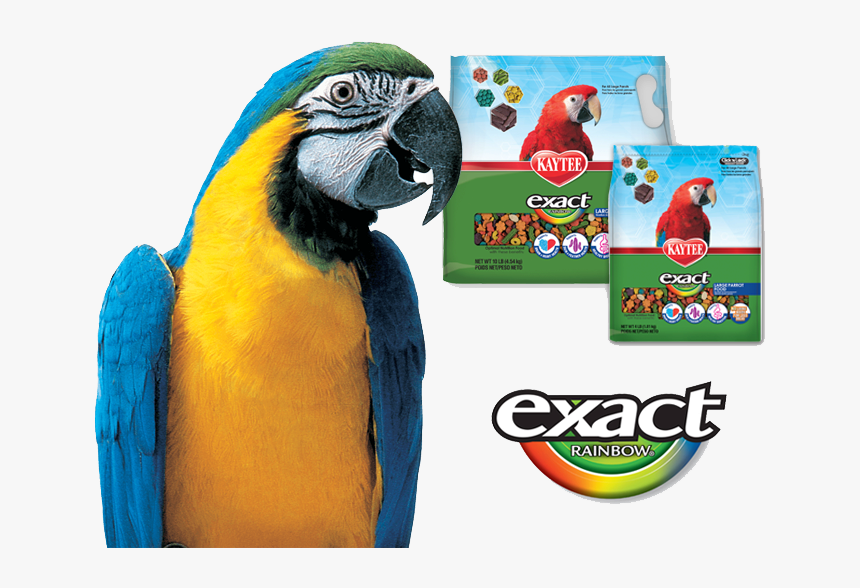 Kaytee Exact Bird Food - Birds, HD Png Download
