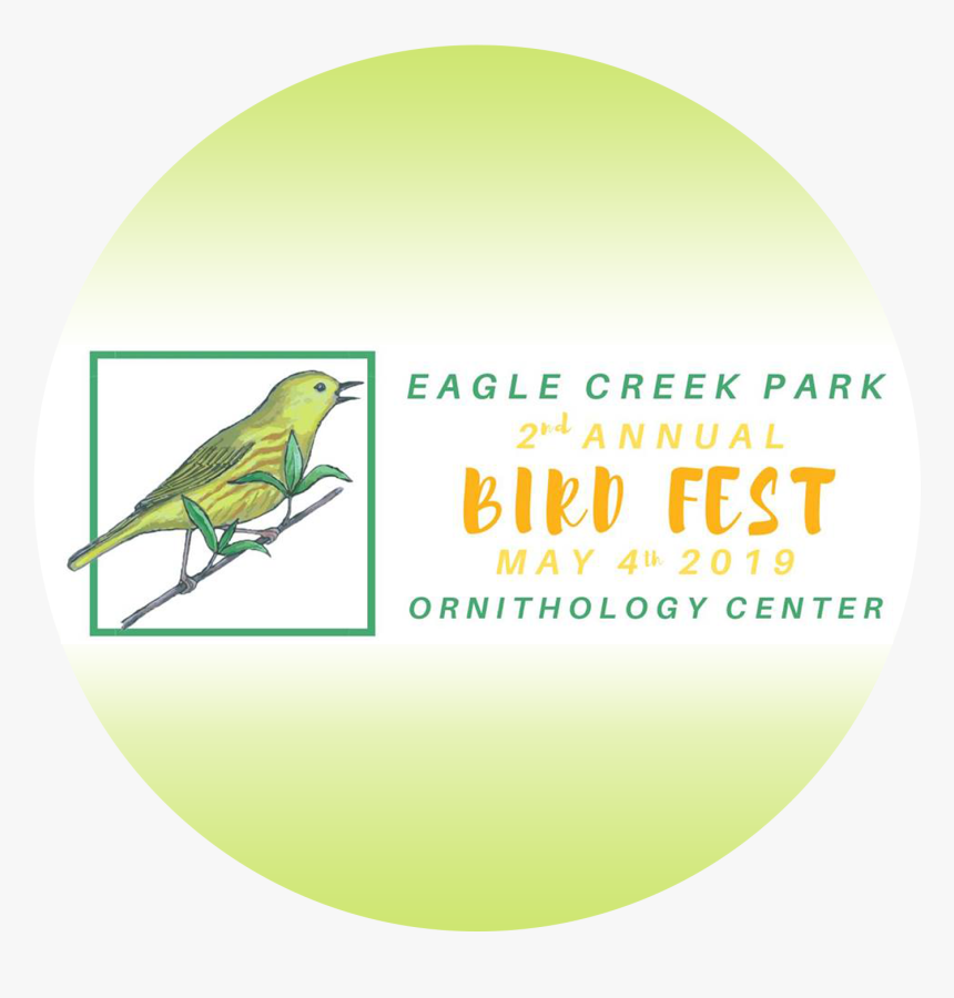 Parakeet Png, Transparent Png