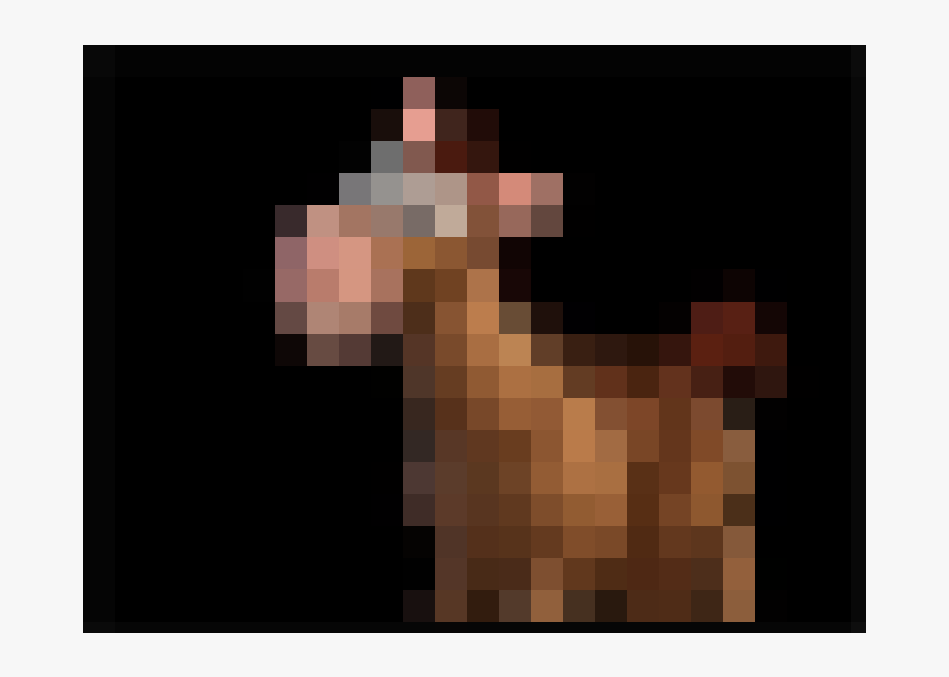 Dachshund, HD Png Download
