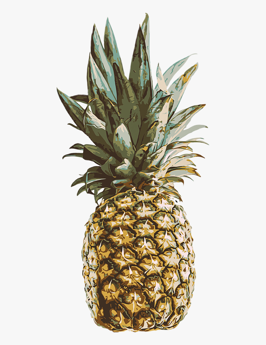 #pinneapple #fruit #freetoedit #fruity #pineapple🍍 - Pink Pineapple Png, Transparent Png