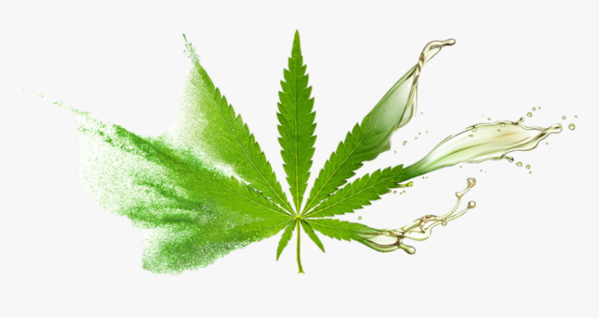 Cbd Leaf - Cbd Leaf And Oil, HD Png Download