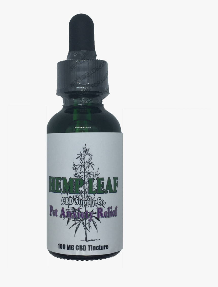 Fern, HD Png Download