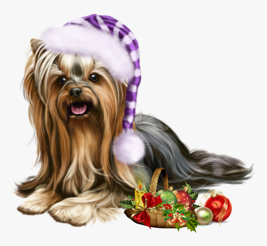 Yorkie Elf Dog Vector, HD Png Download