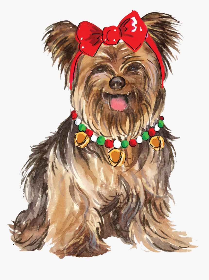 Yorkshire Terrier, HD Png Download