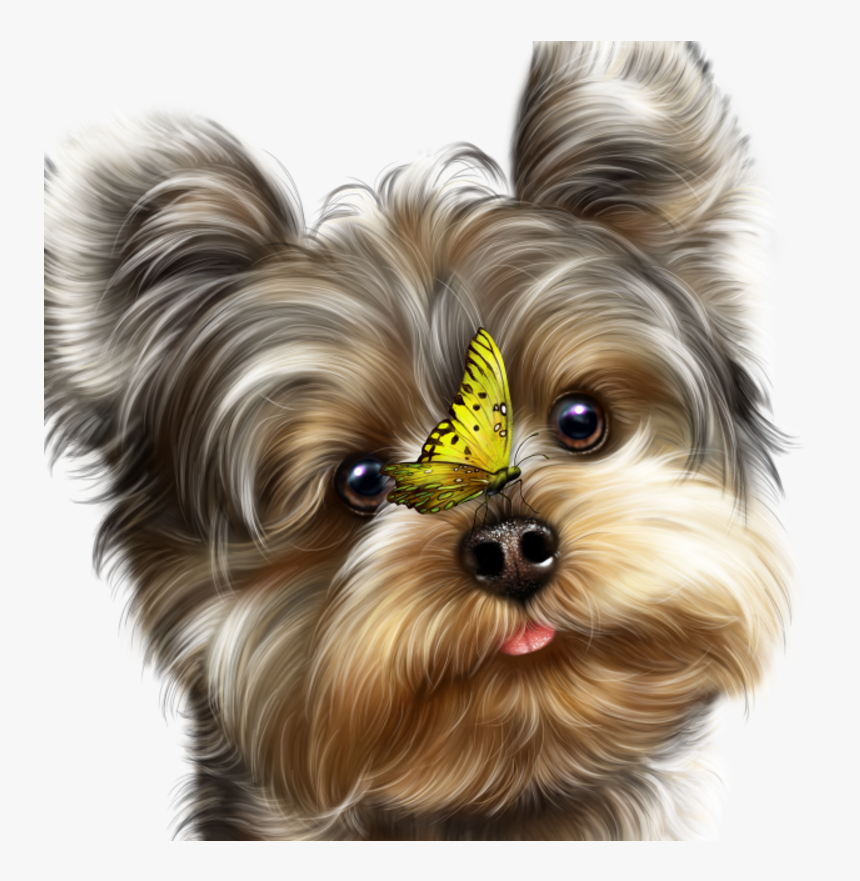 Fairy Yorkie And Butterflies - Yorkies Png, Transparent Png