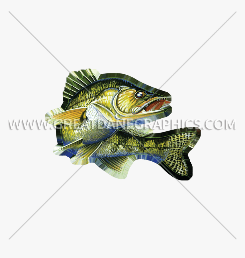Walleye Vector Fish - Bass, HD Png Download