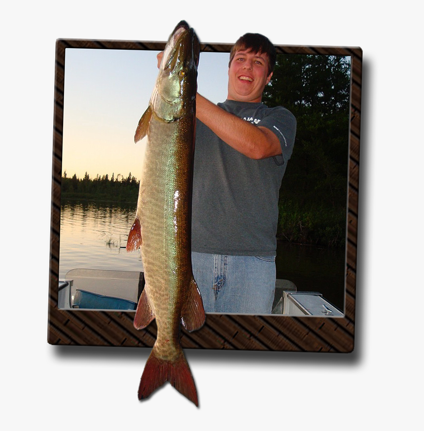 Musky - Lunge, HD Png Download