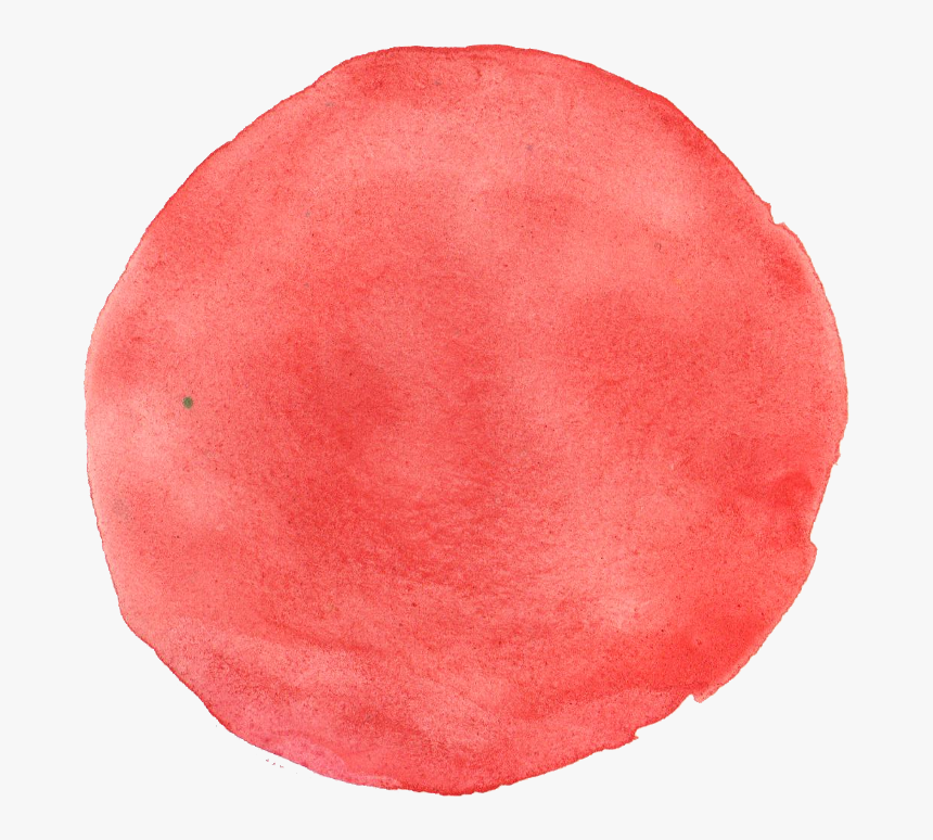 Tree, HD Png Download