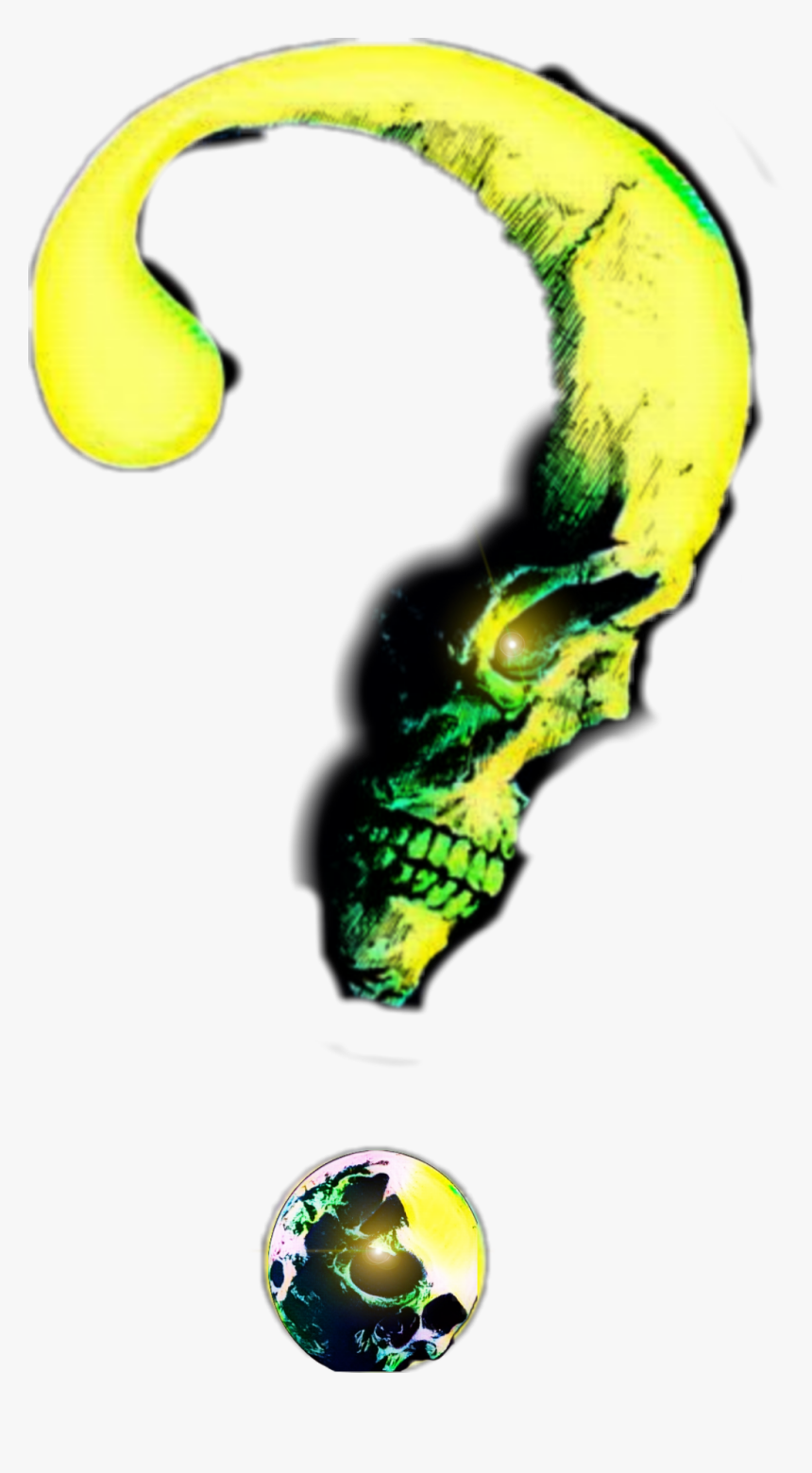 Skull, HD Png Download