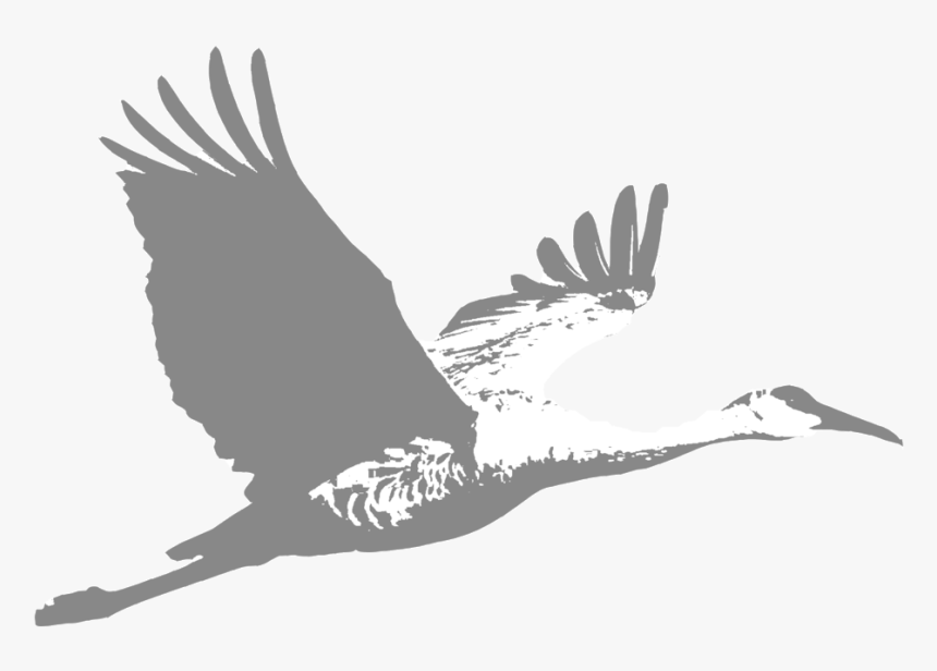 Crane - Grassland Birds Flying, HD Png Download