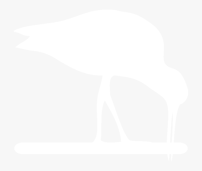 Shorebird, HD Png Download