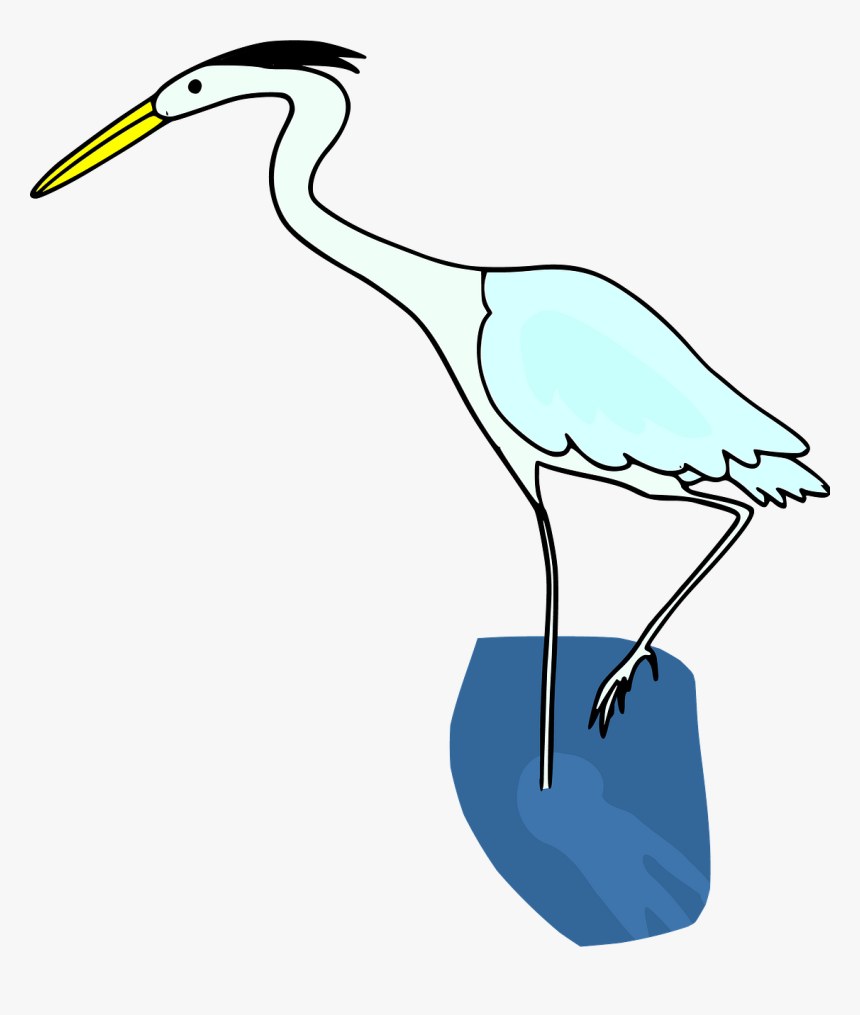 Seabird, HD Png Download