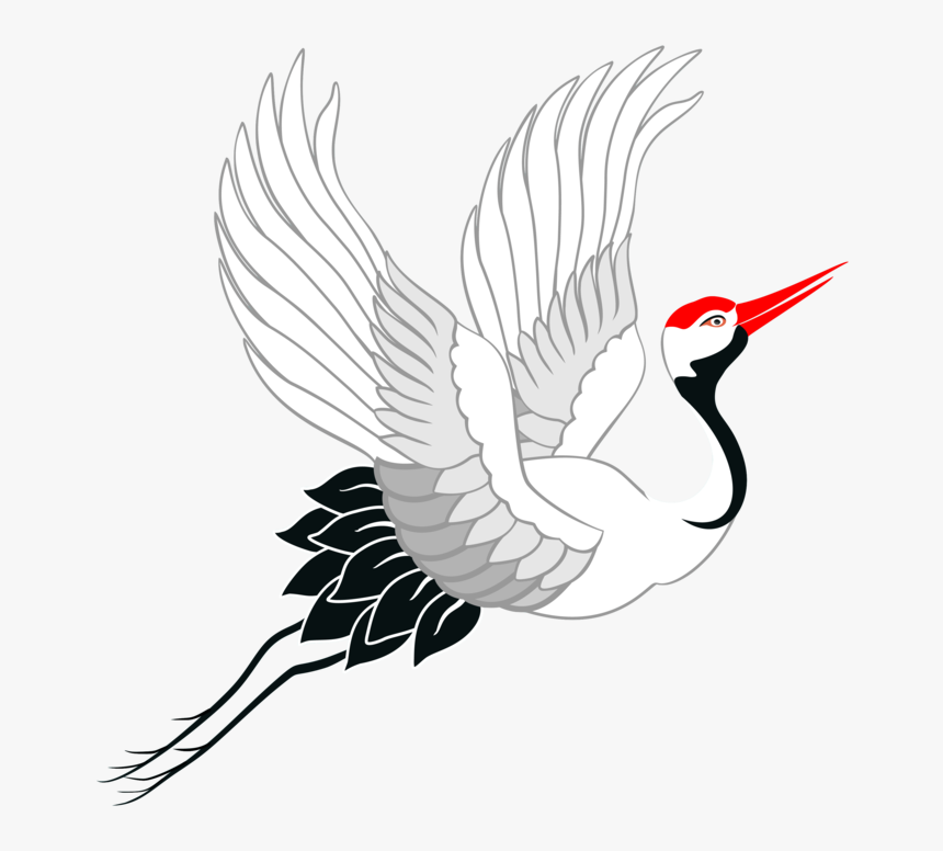 Png Crane - Sandhill Crane, Transparent Png