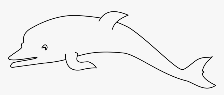 Drawing Indo Pacific Humpbacked Dolphin, HD Png Download