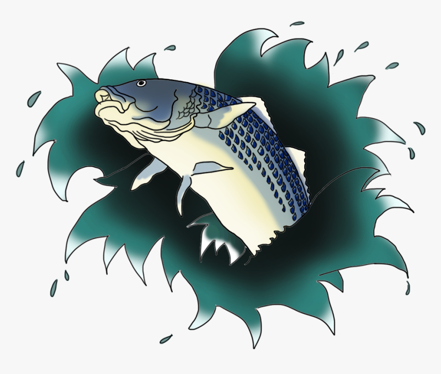Transparent Fish Jumping Out Of Water Clipart - Drawing, HD Png Download