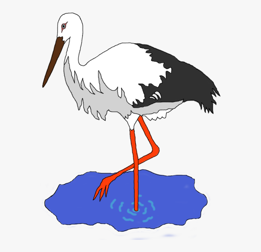 Seabird,water Bird,ciconiiformes - Crane Bird Clipart, HD Png Download