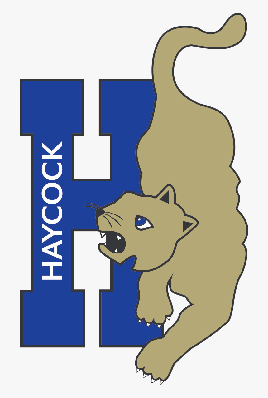 Home - Dog Catches Something, HD Png Download