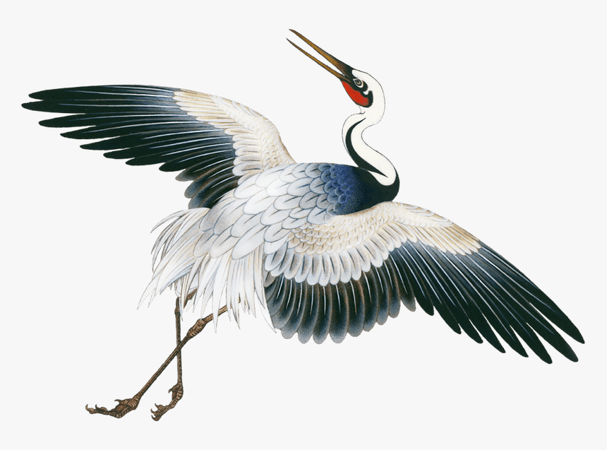 Crane, HD Png Download