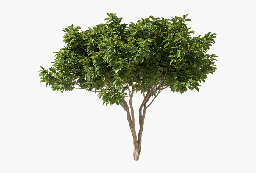 Plane, HD Png Download