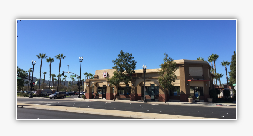 Web Main Pic 190 Magnolia - Commercial Building, HD Png Download