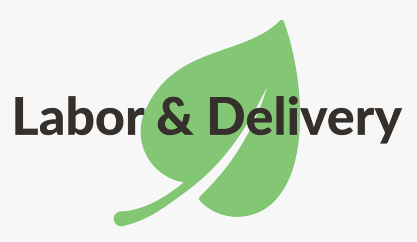 Labor-delivery - Graphic Design, HD Png Download