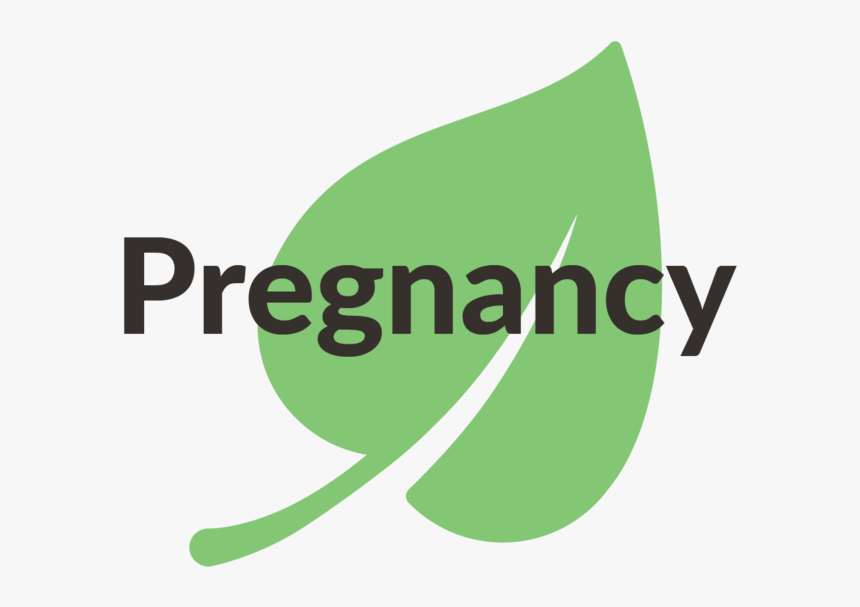 Pregnancy - Graphic Design, HD Png Download