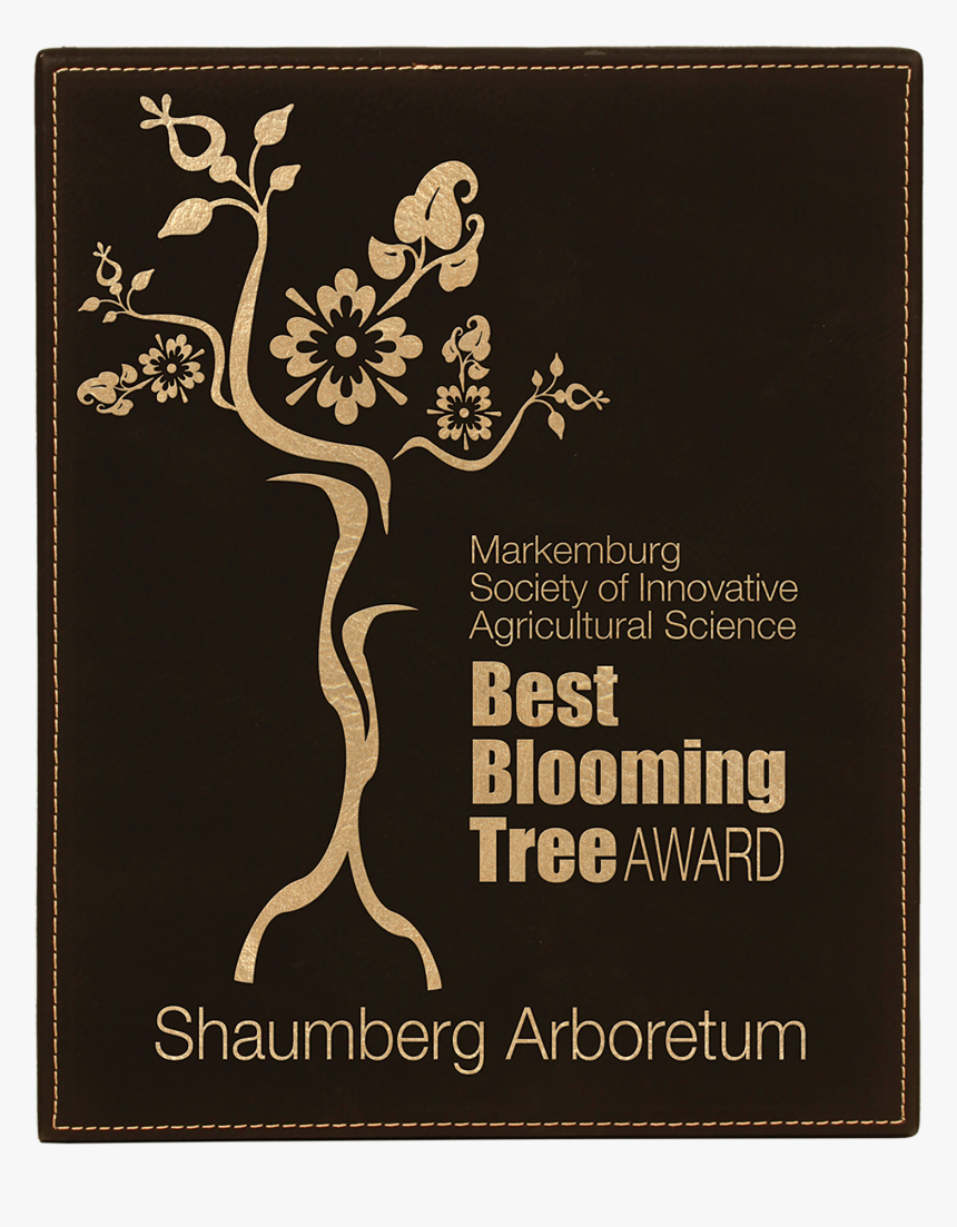 Tree, HD Png Download