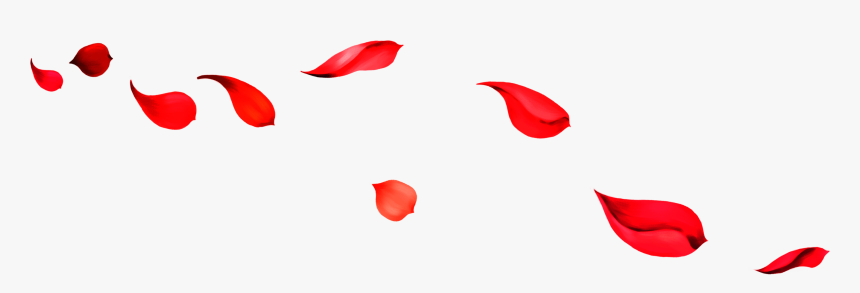 Beach Red Download Falling Petals , Hd Wallpaper & - Petali Di Rosa Rossa, HD Png Download