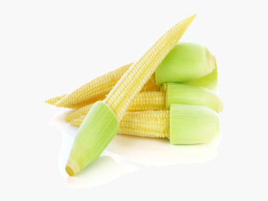 Corn Kernels, HD Png Download