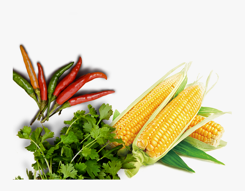 Bg Web Mobile Bottom - Maize, HD Png Download