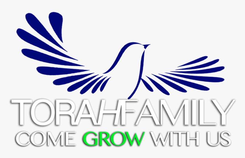 Tf1, HD Png Download