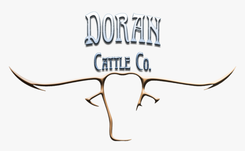 Blog Post Image - Calligraphy, HD Png Download