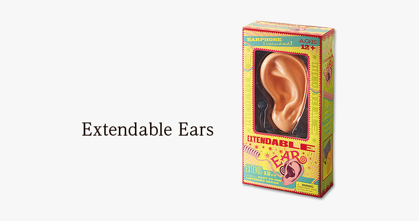 Multimedia Software, HD Png Download