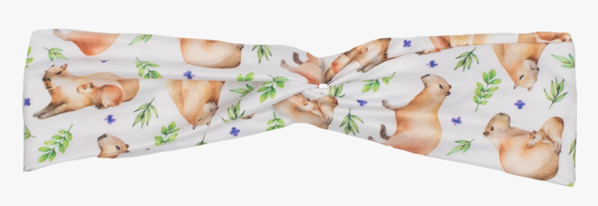 Guinea Pig, HD Png Download