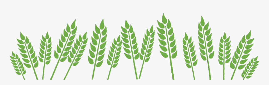 Wheat Field » - Fields Clipart Black And White, HD Png Download