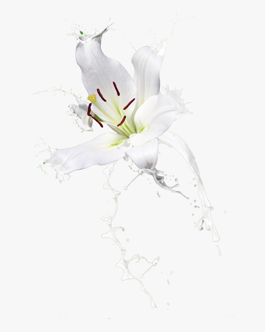 牛奶 素材, HD Png Download