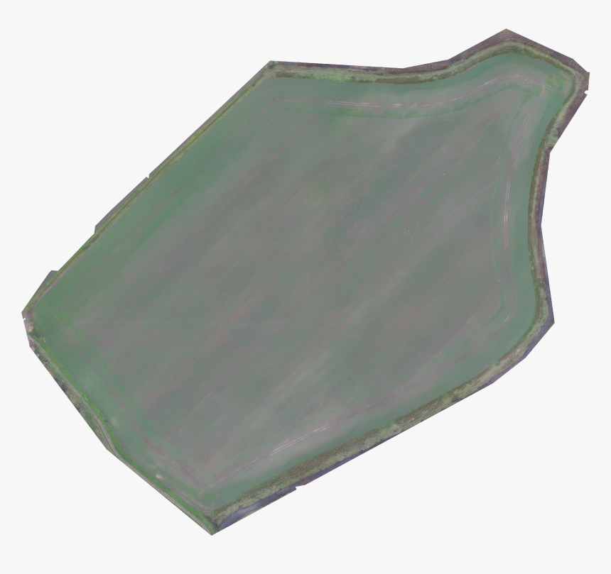 Winter Wheat Field Study December 14, , Png Download, Transparent Png